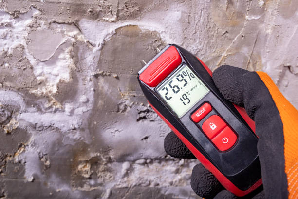 Best Office Mold Removal Services  in Arlington, VA