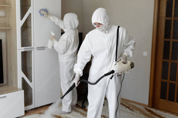 Mold Removal Process in Arlington, VA