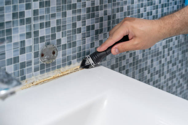 Best Toxic Mold Removal  in Arlington, VA