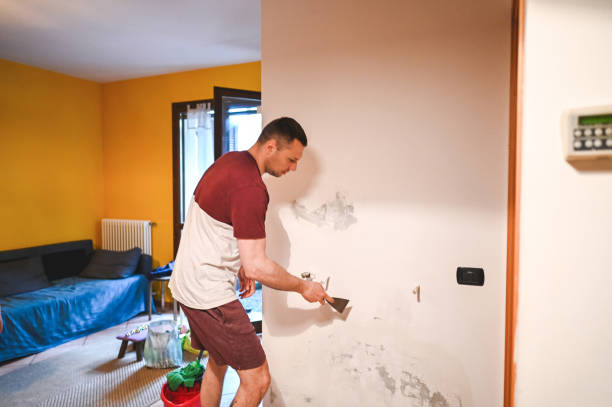 Best Mold Remediation  in Arlington, VA